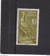 SAHARA ESPAGNOL 1961 OISEAUX Yvert 175 NEUF** MNH - Sahara Spagnolo