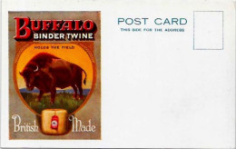 CPA Publicité Publitaire Réclame Buffalo Non Circulé - Werbepostkarten