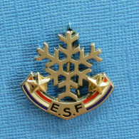 1 BROCHE /  ** BROCHE E.S.F. / ÉCOLE DU SKI FRANÇAIS FLOCON 2 ÉTOILES ** . (DECAT PARIS) - Sport Invernali