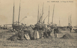 CPA35- CANCALE- Le Triage Des Huitres - Cancale