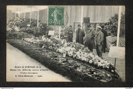 69 - LYON - Bassin De NYMPHAEA De La Maison Ch. MOLIN, Louis VORAZ - Place Bellecour - 1910 - Lyon 2