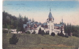 3289/ Sinaia, Castelul Peles - Roumanie