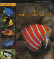 Les Poissons-Anges (NEUF SOUS BLISTER) - Otros & Sin Clasificación