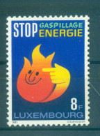 Luxembourg 1981 - Y & T N. 990 - Economie D'énergie (Michel N. 1040) - Ongebruikt