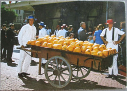 HOLLAND NETHERLAND ALKMAAR WAAGPLEIN CHEESE MARKET POSTCARD CARTOLINA ANSICHTSKARTE CARTE POSTALE POSTKARTE CARD - Alkmaar