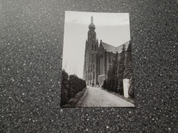 HOOGSTRATEN: St Katharinakerk - Hoogstraten