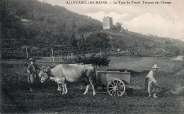 4V4Sb   38 Allevard Les Bains La Tour Du Treuil Travaux Agricoles Attelage Boeufs En TBE - Allevard