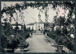 Bologna Medicina Foto FG Cartolina ZF5873 - Bologna