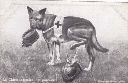 MILITARIA . PATRIOTIQUES . Le Chien Sanitaire ...et Patriote . Croix Rouge - Heimat