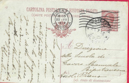 INTERO CARTOLINA POSTALE LEONI C.10 (DOMANDA) (INT. 38/17 D) DA FIRENZE*23.VII.1918* PER RIPATRANSONE - Storia Postale