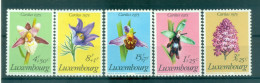 Luxembourg 1975 - Y & T N. 864/68 - Caritas (Michel N. 914/18) - Unused Stamps