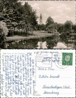 Ansichtskarte Celle Partie Aus Dem Schlosspark 1959 - Celle