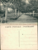 Postkaart Eeklo Allée Des Pommiers - Institut Notre Dame Aux Epines 1914 - Otros & Sin Clasificación