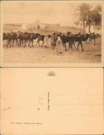 Postcard Biskra بسكرة Biskira Passage D'une Caravane 1926 - Biskra