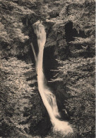 FRANCE - La Bourboule - Cascade Du Plat à Barbe - Carte Postale Ancienne - La Bourboule