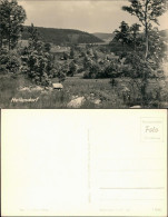 Ansichtskarte Hellendorf-Bad Gottleuba-Berggießhübel Blick Auf Den Ort 1960 - Bad Gottleuba-Berggiesshübel