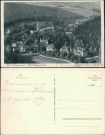 Postcard Bad Reinerz Duszniki-Zdrój Blick Auf Den Ort 1929 - Schlesien