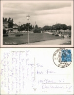 Ansichtskarte Göhren (Rügen) Strandpromenade 1953  - Göhren