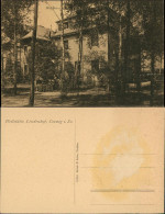 Ansichtskarte Coswig Sachsen Heilstätte Lindenhof - Waldhaus 1915  - Coswig