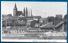 1980  --  BELGIQUE . HOGNOUL . VUE DU VILLAGE . 4A928 - Non Classificati