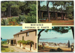 CP NOVIGRAD - Pozdrav Iz Pinete - Multi Vues - 4 Vues - ( Croatie - Yougoslavie ) - Yugoslavia