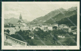 Belluno Pieve Di Cadore Cartolina ZKM8706 - Belluno