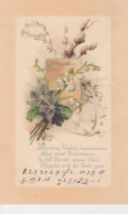 Blumenpracht Glca.1900 #69.064 - Pentecostés