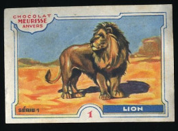 Meurisse - Ca 1930 - 1 - Les Animaux Sauvages, Wild Animals - 1 - Lion - Otros & Sin Clasificación