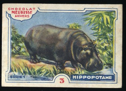 Meurisse - Ca 1930 - 1 - Les Animaux Sauvages, Wild Animals - 3 - Hippopotame - Sonstige & Ohne Zuordnung