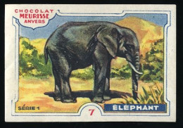 Meurisse - Ca 1930 - 1 - Les Animaux Sauvages, Wild Animals - 7 - Elephant - Sonstige & Ohne Zuordnung