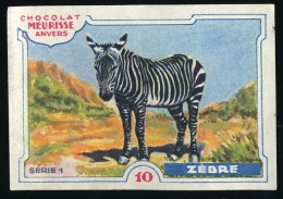 Meurisse - Ca 1930 - 1 - Les Animaux Sauvages, Wild Animals - 10 - Zèbre, Zebra - Autres & Non Classés