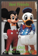 Orlando  Florida - Mickey's Collection - Best Friends Are Only A Post Card Away ! By Walt Disney - Orlando