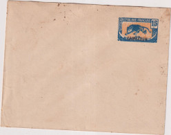 TP ENTIER 15 CTS BLEU & JAUNE-CAMEROUN- S/ ENVELOPPE NEUVE-1921 - Storia Postale