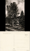 Ansichtskarte Bad Sachsa Partie Im Kurpark 1955 - Bad Sachsa