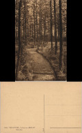 Ansichtskarte  Partie Im Wald - Parkbank 1922 - Unclassified