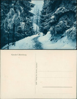 Ansichtskarte Bärenburg-Altenberg (Erzgebirge) Rodelbahn Im Winterwald 1913 - Kipsdorf