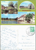 Neustadt (Orla) Gamsenteich, Neubaugebiet, Schwimmbad, Markt G1984 - Neustadt / Orla