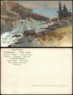 Künstlerkarte Wasserfall Waterfall River Falls (Ort Unbekannt) 1900 - Unclassified