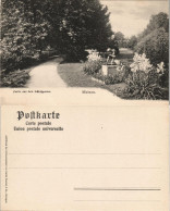 Insel Mainau-Konstanz Partie Aus Dem Schloßgarten, Schloss Garten Park 1900 - Konstanz