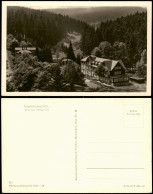 Ansichtskarte Friedrichroda Blick Zum Kühlen Tal 1957 - Friedrichroda