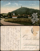 Ansichtskarte Collm-Wermsdorf Ortspartie Am Collmberg 1921 - Wermsdorf