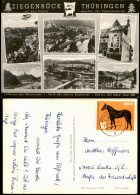 Ansichtskarte Ziegenrück/Saale DDR   Ortsansichten 1965 Motiv-Frankatur "Pferd" - Ziegenrück