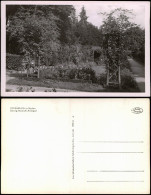 Ansichtskarte Offenburg Georg-Monsch-Anlagen 1932 - Offenburg