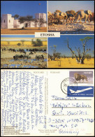 Postcard .Namibia Etosha 4 Bild 1988  Gel. Airmail - Namibie
