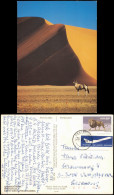 Postcard .Namibia Sussusvlei Gemsbok 1988 - Namibie