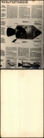 Ansichtskarte  Flugwesen - Raumfahrt MONDLANDEFAHRZEUG Beschreibung 1971 - Ruimtevaart