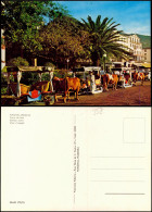 Postcard Funchal Char à Boeufs Bullock Carro 1975 - Autres & Non Classés
