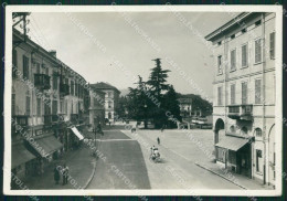 Varese Luino BOZZA Foto FG Cartolina ZK4797 - Varese