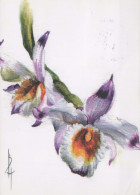 FLOWERS Vintage Postcard CPSM #PBZ029.A - Flowers