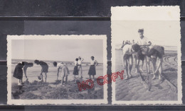 Fixe Cabourg 1938 Pêche Aux équilles - Personnes Anonymes